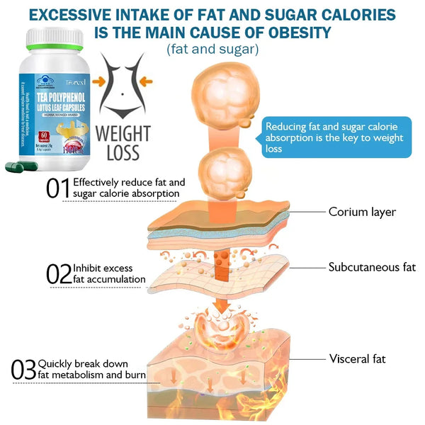 CoreBurn Rapid Belly Fat Solution